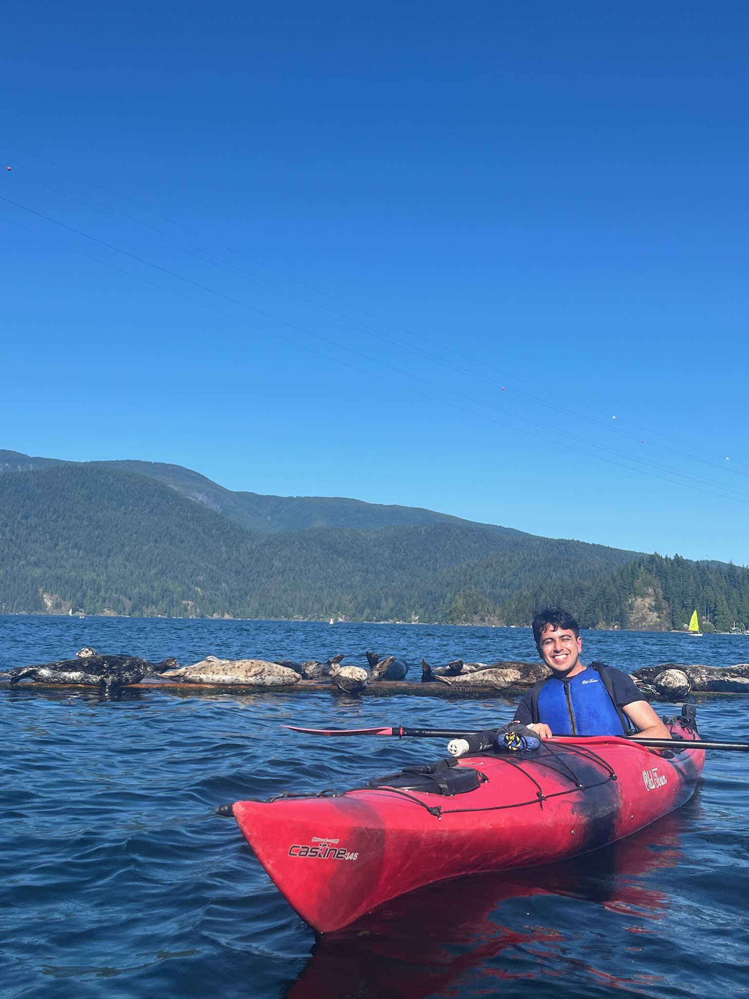 Karan kayaking beside seals